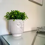 Morgagni Apartment