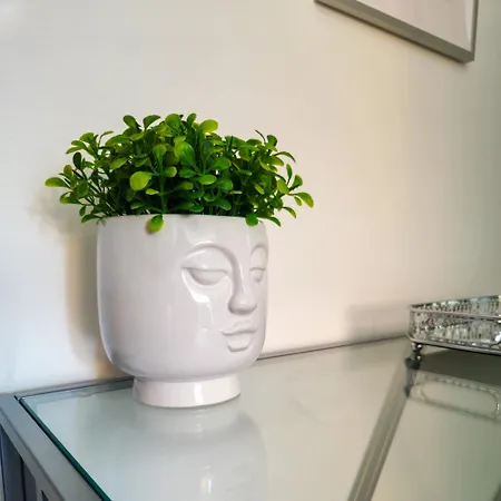 Morgagni Apartamento